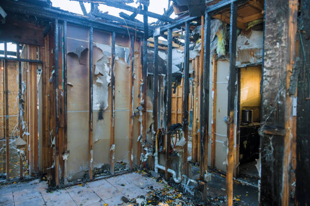 Professional Fire Damage Removal technician working in Griggsville, IL